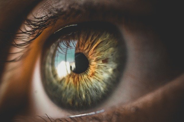 Autistic people have quicker and shorter eye movements than non-autistic people