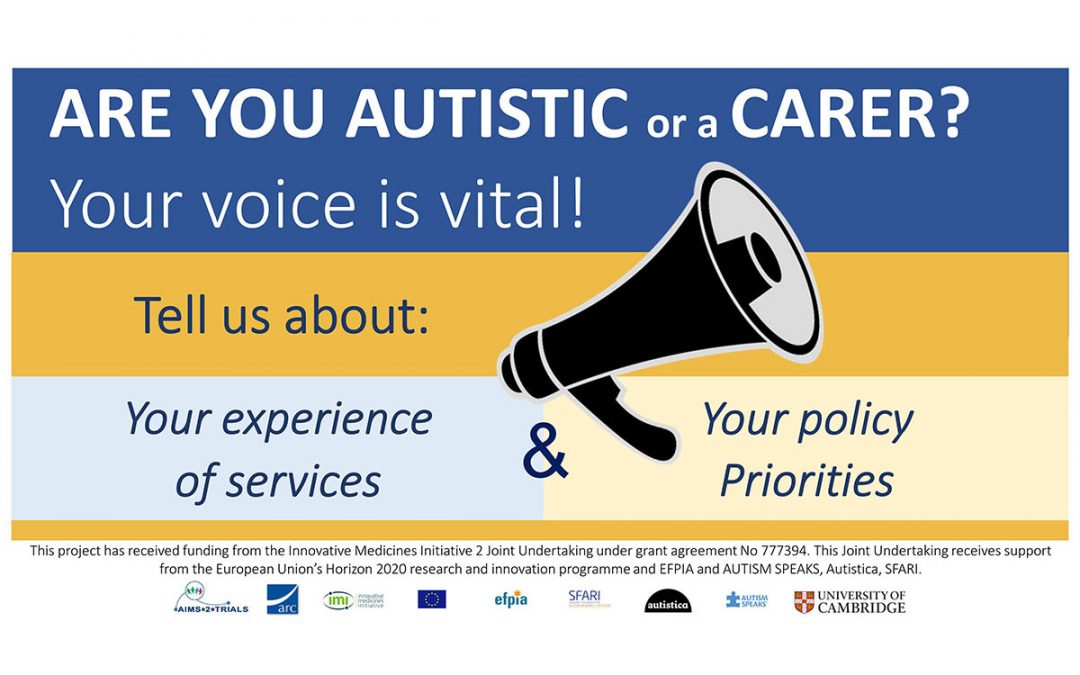What services do autistic people want? What improvements are needed? Time to let policymakers know.